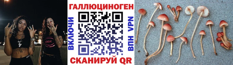 Псилоцибиновые грибы MAGIC MUSHROOMS Купить Курчатов
